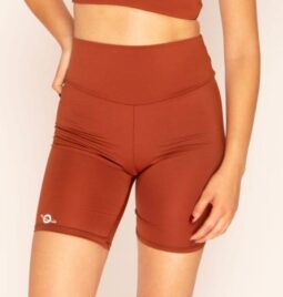 {{brizy_dc_image_alt entityId=